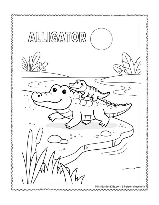 alligator coloring pages jg