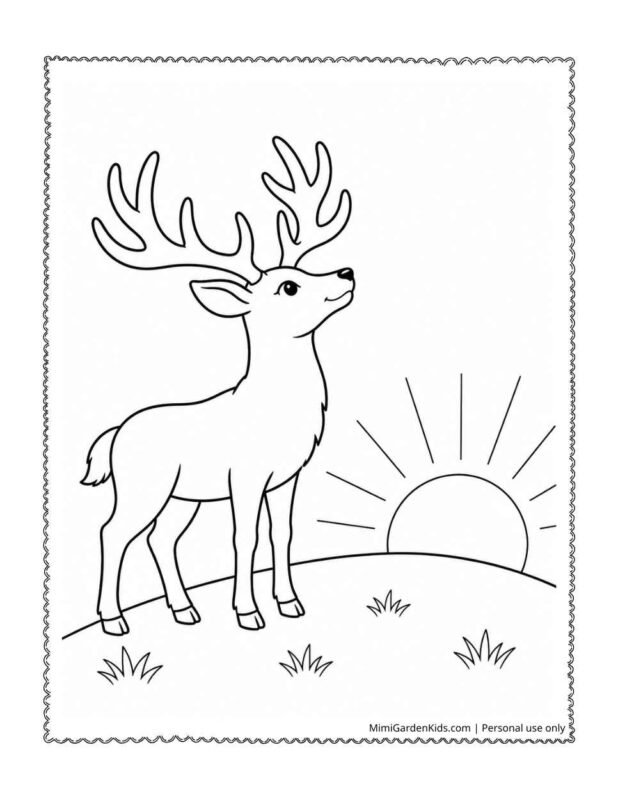 buck coloring page