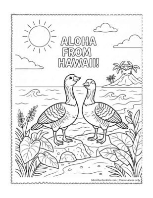 coloring pages hawaii