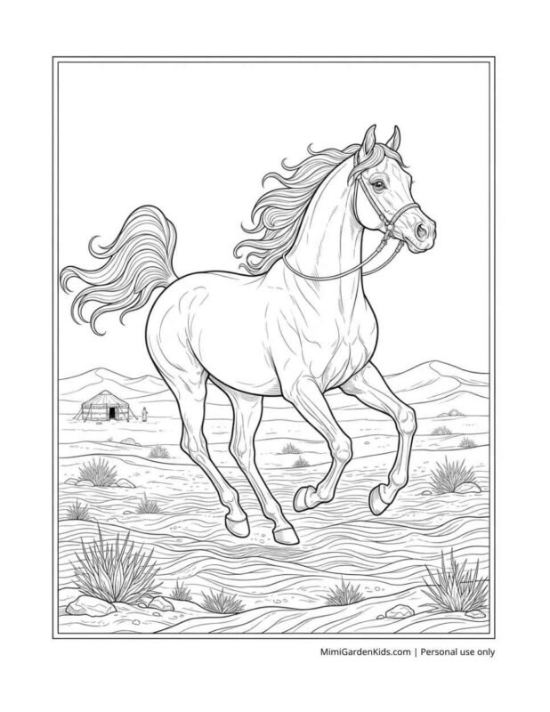 coloring pages of horses for adults