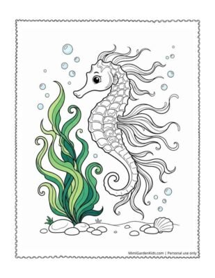 coloring pages seahorse