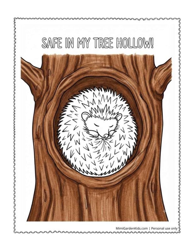 hedgehog color pages