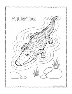 printable alligator coloring pages