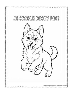 realistic puppy coloring pages - husky pup