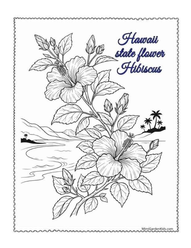 hawaii state flower coloring page free printable and download
